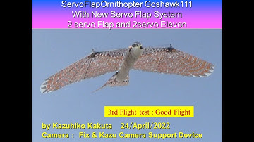 サーボ駆動羽ばたき機　オオタカ 86g  SFOGoshawk111 with 2 servo Flap and 2servo Elevon : 3rd Flight Test Good Flight