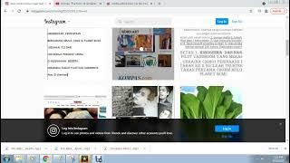 candra petreli heatrles