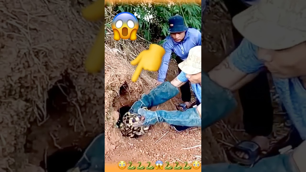 Original Title & Thumbnail