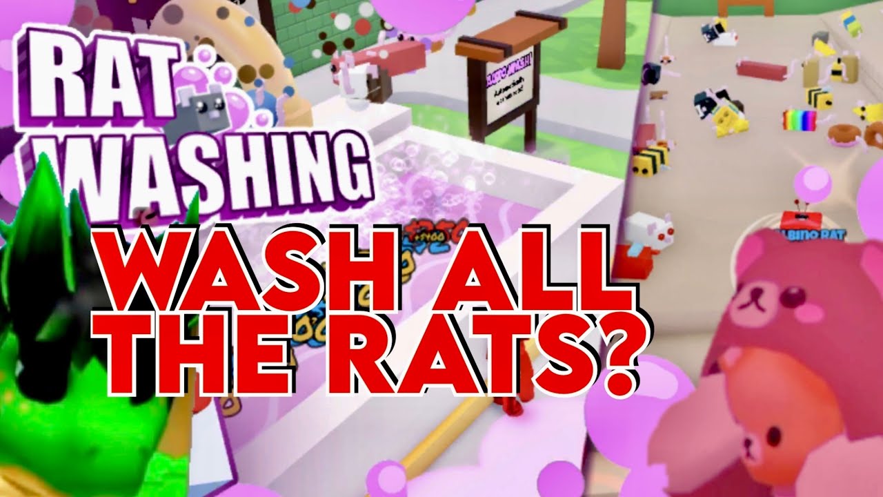 Roblox Rat 🐀 Washing 🧼 We Wash Rats from Gray to Sus YouTube