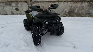Teenager ATV TaoMotor Shark 125cc