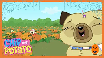 Pumpkin Picking! 🎃 Chip & Potato Halloween Compilation 🎃 WildBrain Wonder