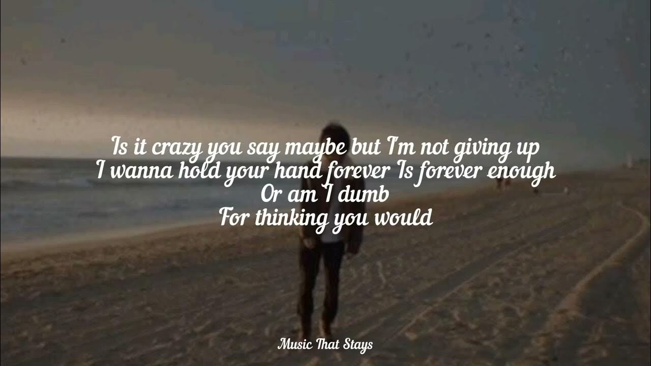 DUMB Song by People R Ugly ‧ 2024 (Lyrics) DUMB Song by People R Ugly ‧ 2024 (Lyrics)