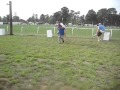 Chicken Race at the Carolina Cup