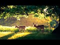 самая красивая музыка🌿 поможет вам снять усталость от стресса🌿 успокаивает нервную систему #3