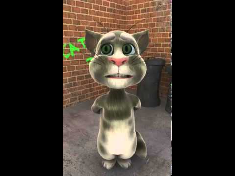 Bisad Heesaysa Somali