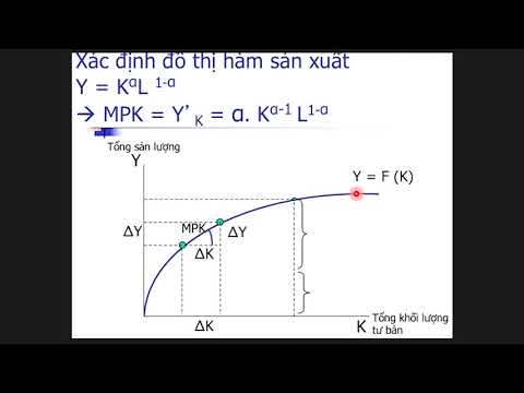 Video: Trong các mô hình tăng trưởng nội sinh?