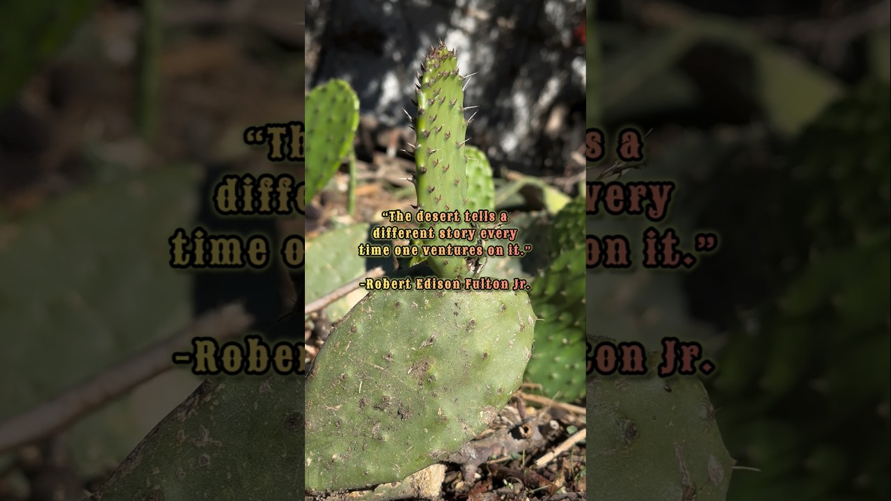 "The Desert Tells A Different Story Every Time One Ventures On It." | Quote Of The Day