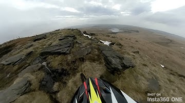 Insta360 ONE - Mountain Biking With 🐶