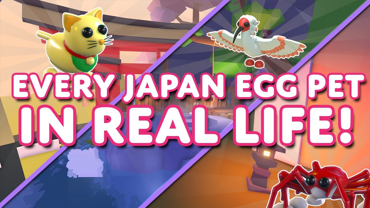 🤓 One INTERESTING FACT About EVERY NEW JAPAN EGG 🥚 PET In Adopt Me! On