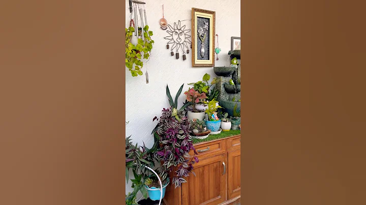 Home entrance decoration ideas #home #entrancedecor #plants #gardening #shorts #youtubeshorts