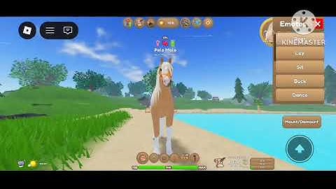 🌌Fairytales (friesian horse music video)