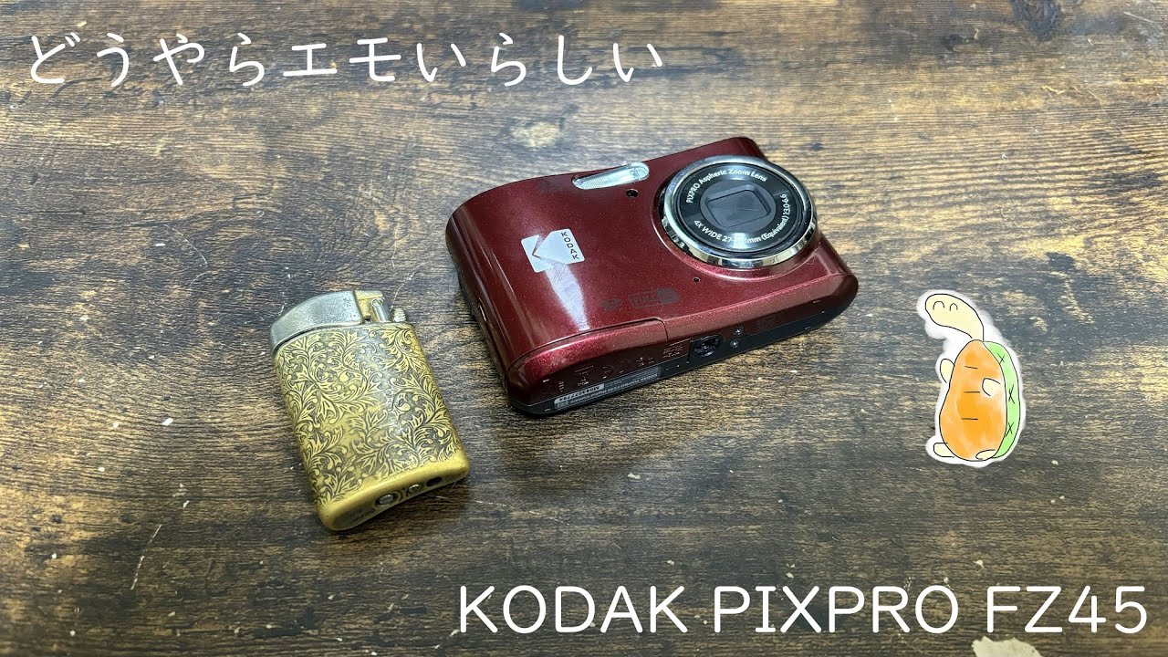 Apparently the battery-powered camera KODAK PIXPRO FZ45 is pretty