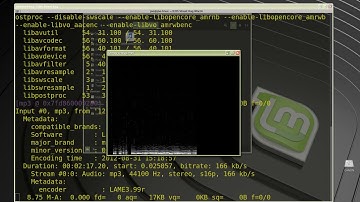 Play Audio File From Terminal With ffmpeg ffplay
