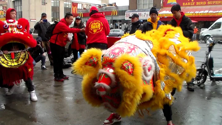 New York NYC Chinese Lion Dance 2017