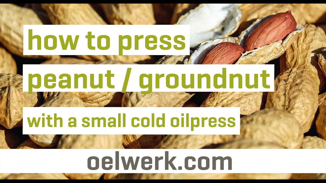 peanut/groundnut oil pressing with small cold oilpress made in