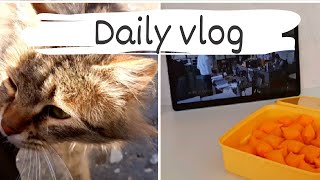 Daily vlog! sorry cat🐈/watching drama👀/ go to school🏢/Shopping🛍/ morning routine☀️