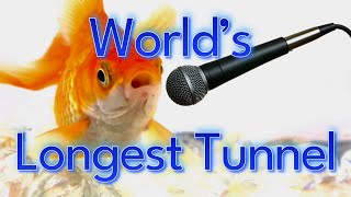 The Longest Tunnel in the What?