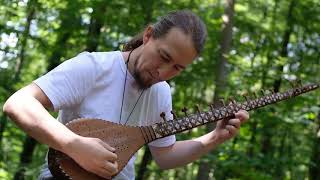 Calm improvisation in the forest on Herati Dutar (Dotar of Herat) Resimi