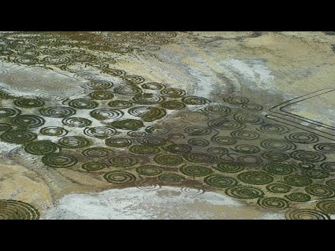 Video: The Mystery Of African Circles - Alternative View