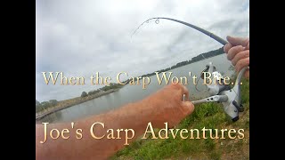 When the  Carp Won't Bite...