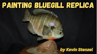 Painting a Bluegill Replica Fish Mount Reproduction Taxidermy