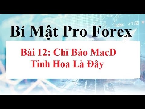 Video: Rửa xe mini - nhanh, rẻ và hiệu quả