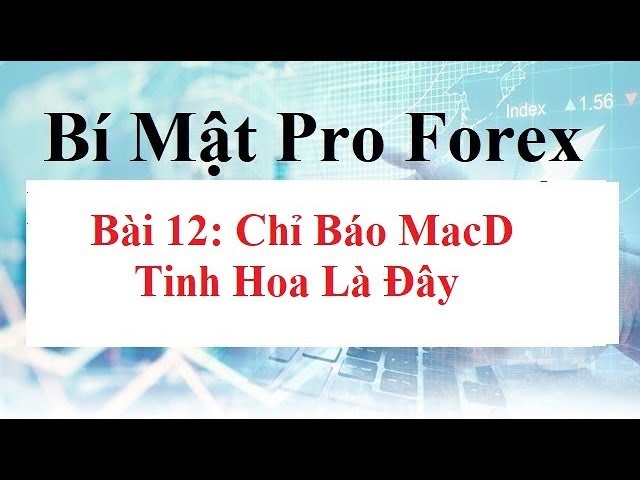 Outline Video Bí mật Pro Forex Bài 12 - Cách Sử dụng chỉ báo MACD trong Forex