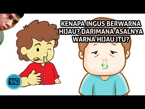 Video: Apakah yang dimaksudkan dengan hidung biru?