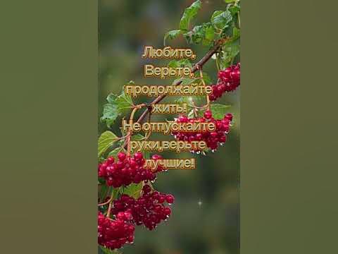 Мудрые мысли о жизни !🔥🔥🔥 - YouTube