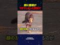 【100万再生】頭に腫瘍ができてしまった野良犬