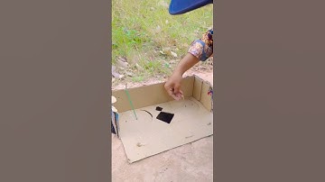 The Underground Quail Bird Trap Using Cardboard #trap #shorts