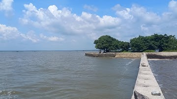 Chia sẻ bãi câu mũi Đồng Tranh - Cần Giờ