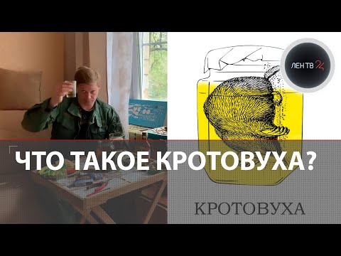 Кротовуха откуда мем? | Кто пьет настойку на мертвом кроте