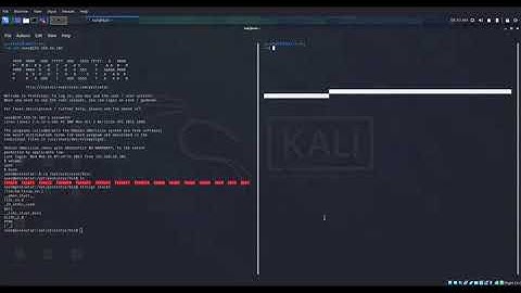 Protostar Stack5 obtaining shell through buffer overflow