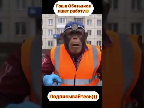 Гоша Обезьянов