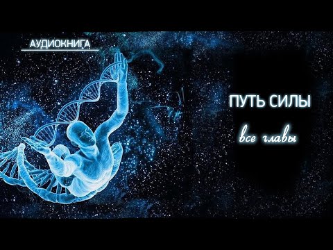 Видео: Книга Иглу, объединенная естественными силами и знаниями