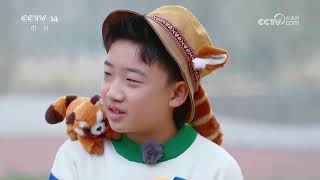 《大风车》 20260224 | 华语动漫