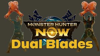 Monster Hunter Now - Dual Blade Guide and armour set recommendations