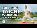 Full Body TaiChi Walking In 25 Minutes | Gentle &amp; Effective Burn fat