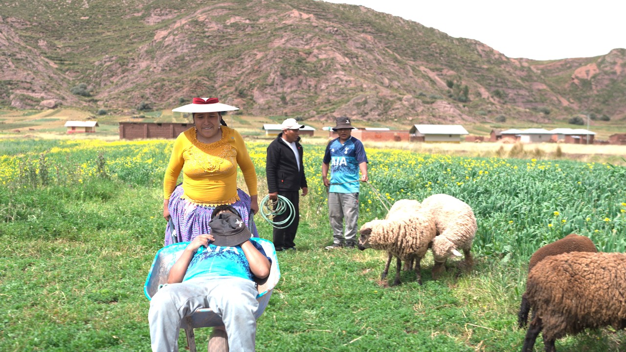ganadero fue victima de pepeo tras cerrar negocio