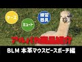 アルパカ商品紹介〜ブラスラボモモ マウスピースポーチ〜