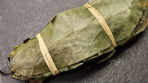 The Amazing Benefits of Soursop Leaves | Natural Healing Tea