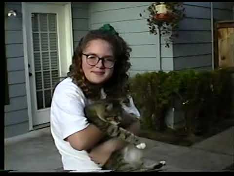 1992 August The Kristina Cat Show Home Video