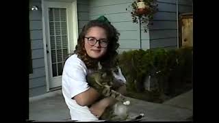 1992 August   The Kristina Cat Show Home Video