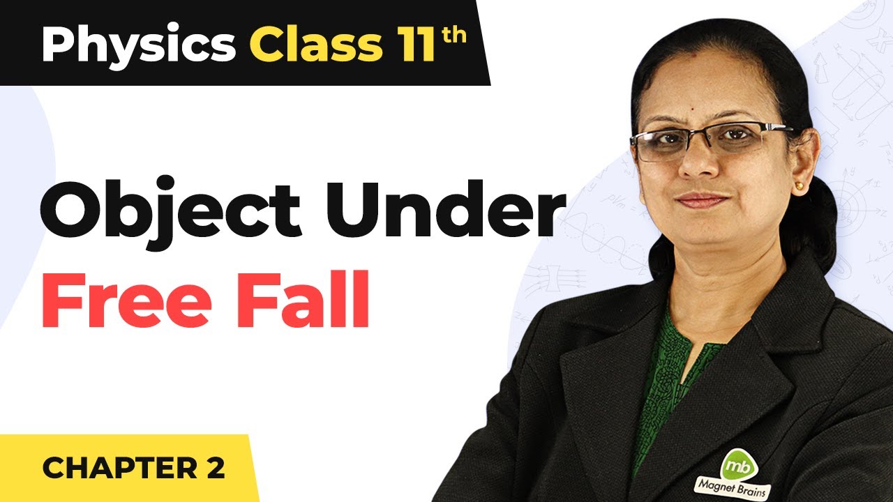 Motion Of An Object Under Free Fall Motion In A Straight Line Class Motion of an object under free fall motion in a straight line class