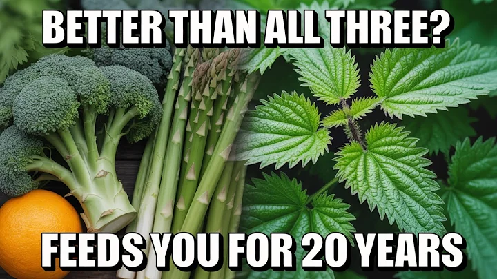 Better Than Broccoli, Asparagus And Orange Combined. Grows For 20 Years. Yet Few Americans Know It.