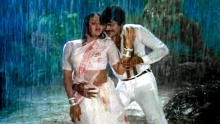 Chiranjeevi, Radha Evergreen Superhit Rain Song | Naagu Movie Video Songs | Telugu Movie Songs