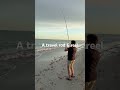 A travel rod & reel is all you need on vacation