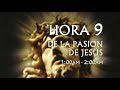 09 de 24 I Horas de la Pasión de Jesús, Luisa Piccarreta, Divina Voluntad.